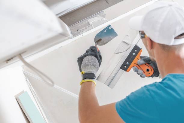 Best Drywall Sanding and Smoothing  in Anthony, KS